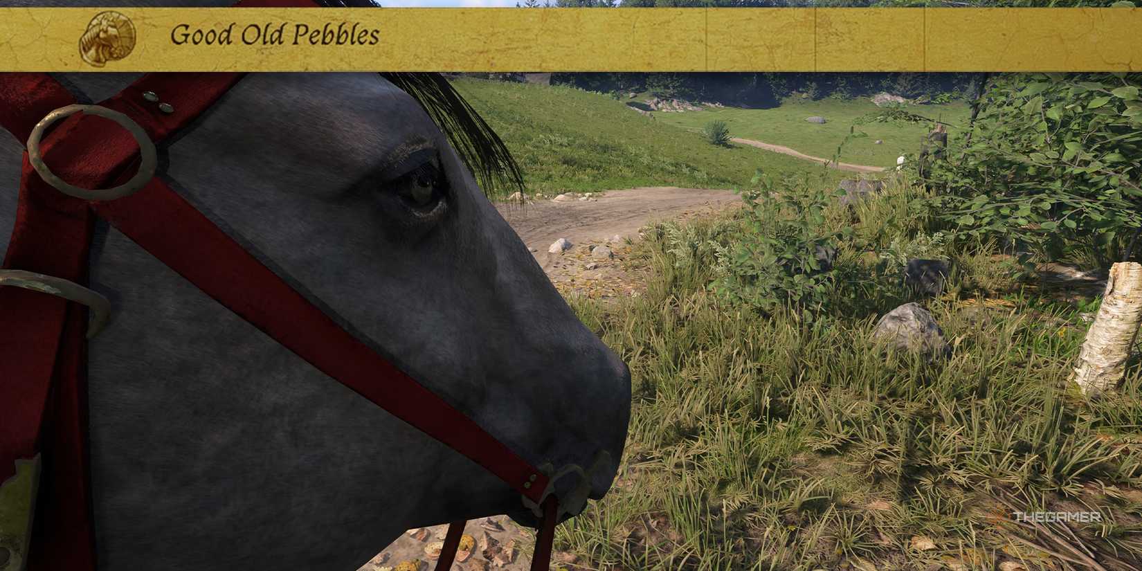 Pebbles Kcd How To Get Mutt And Pebbles In Kingdom Come: Deliverance 2