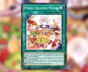 yugioh card groups group chat cards Yu-Gi-Oh! 9 Friendship Memes That Are Too Funny Transcend Cards Yu-Gi-Oh! card types: Every monster,