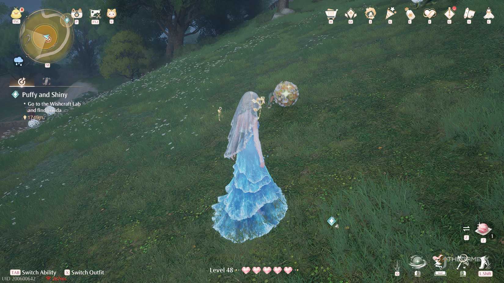 All Blossom Beetle Locations And How To Catch Them In Infinity Nikki