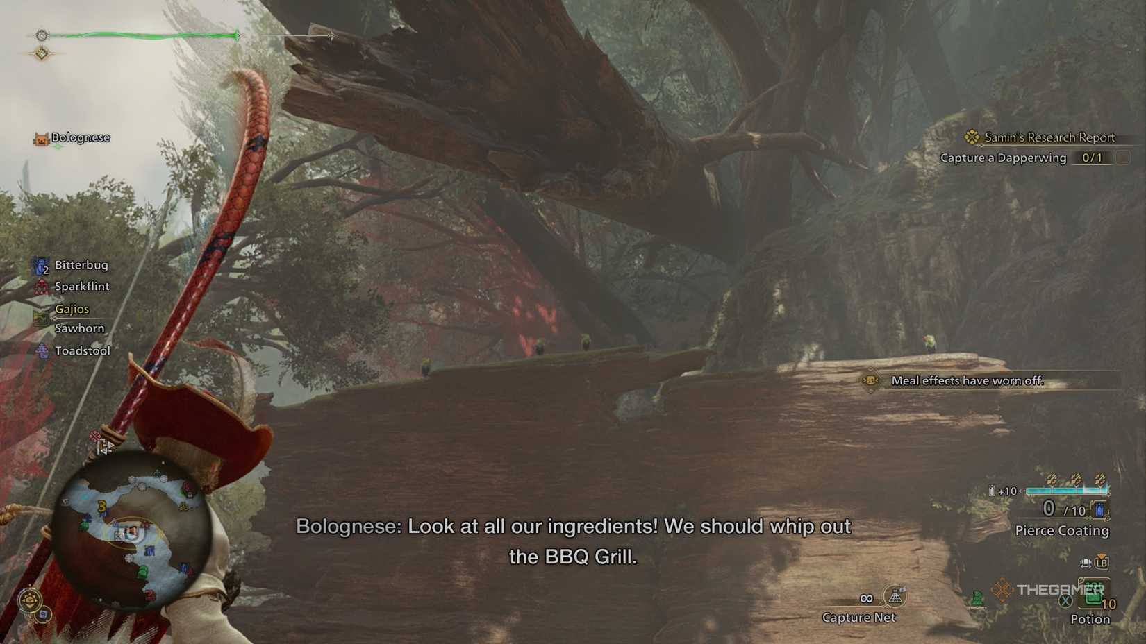Where To Find Dapperwings In Monster Hunter Wilds