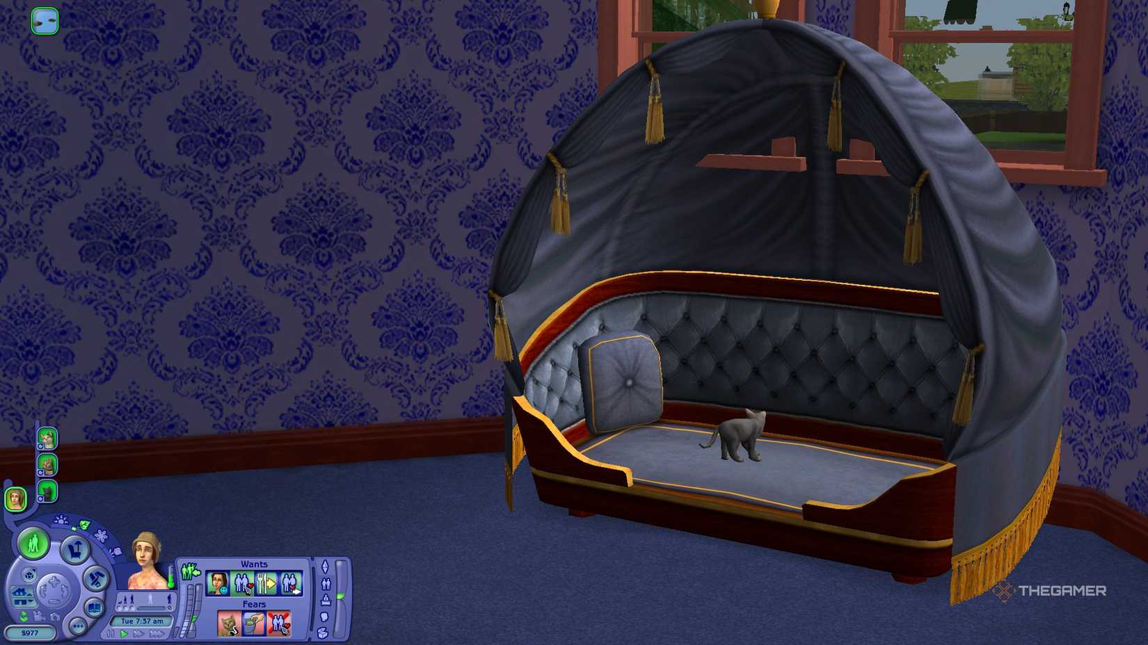 Cats are in the pet bed of Sims 2.