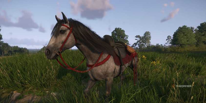 Pebbles Vs Herring Which Horse Is Better In Kingdom Come Deliverance 2 pebbles-vs-herring-which-horse-is-better-in-kingdom-come-deliverance-2