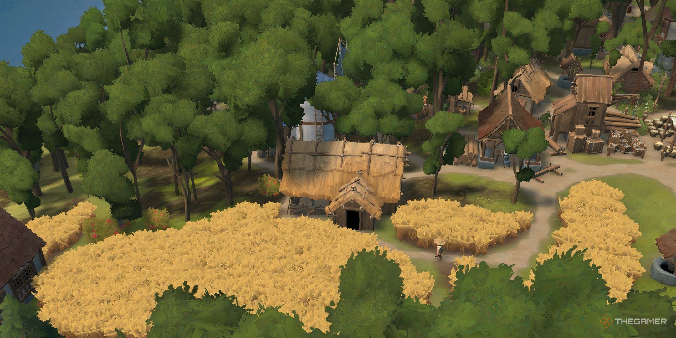 The image shows a wheat farm in Foundation.