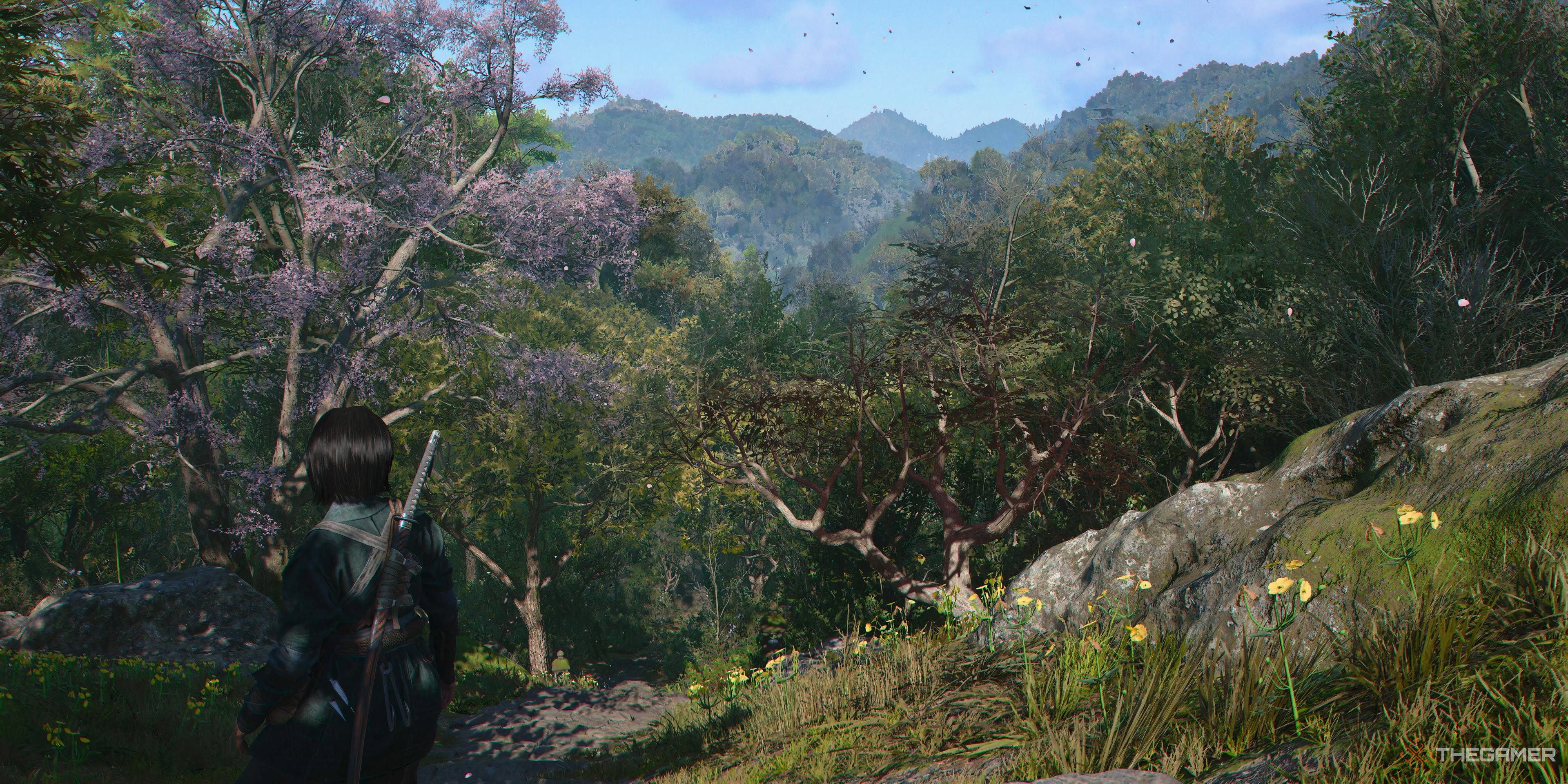 Assassin's Creed Shadows Fujibayashi Naoe in forest in Japan looking to distance.