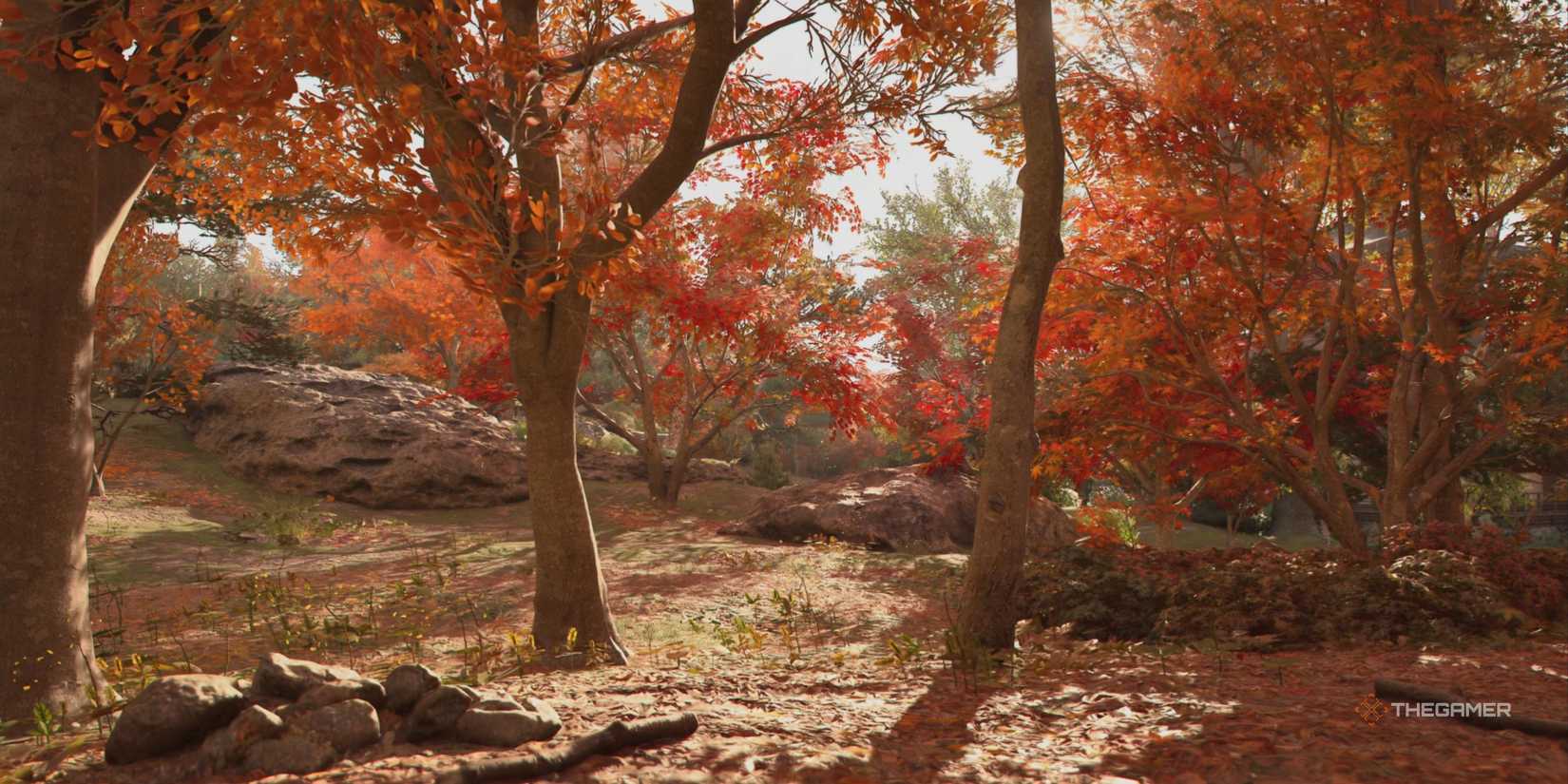 The Most Confusing Things About Assassin's Creed Shadows