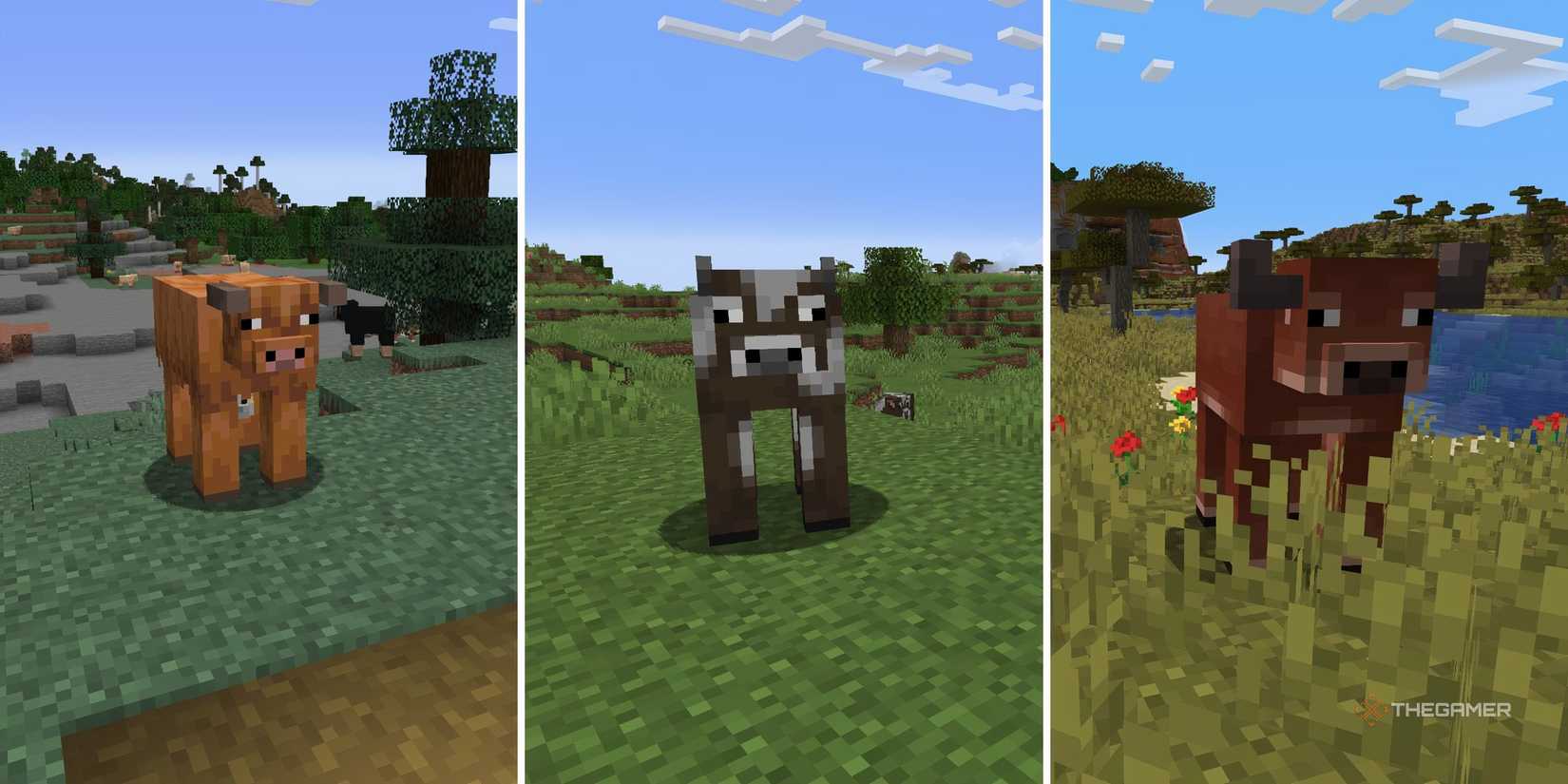 All New Features In Minecraft's Spring To Life Update