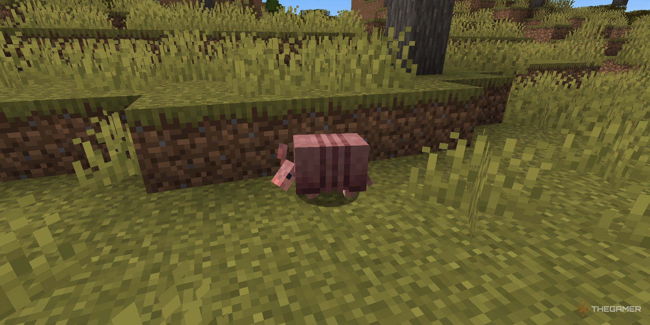 How To Tame A Cat In Minecraft