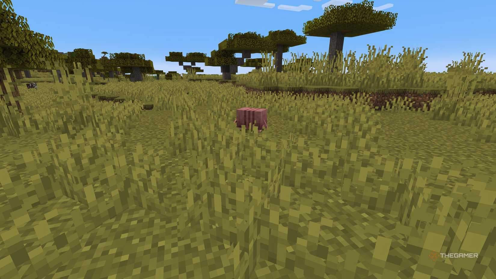 An Armadillo in Minecraft away from the player.