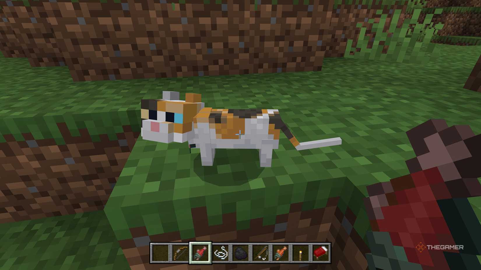 How To Tame A Cat In Minecraft