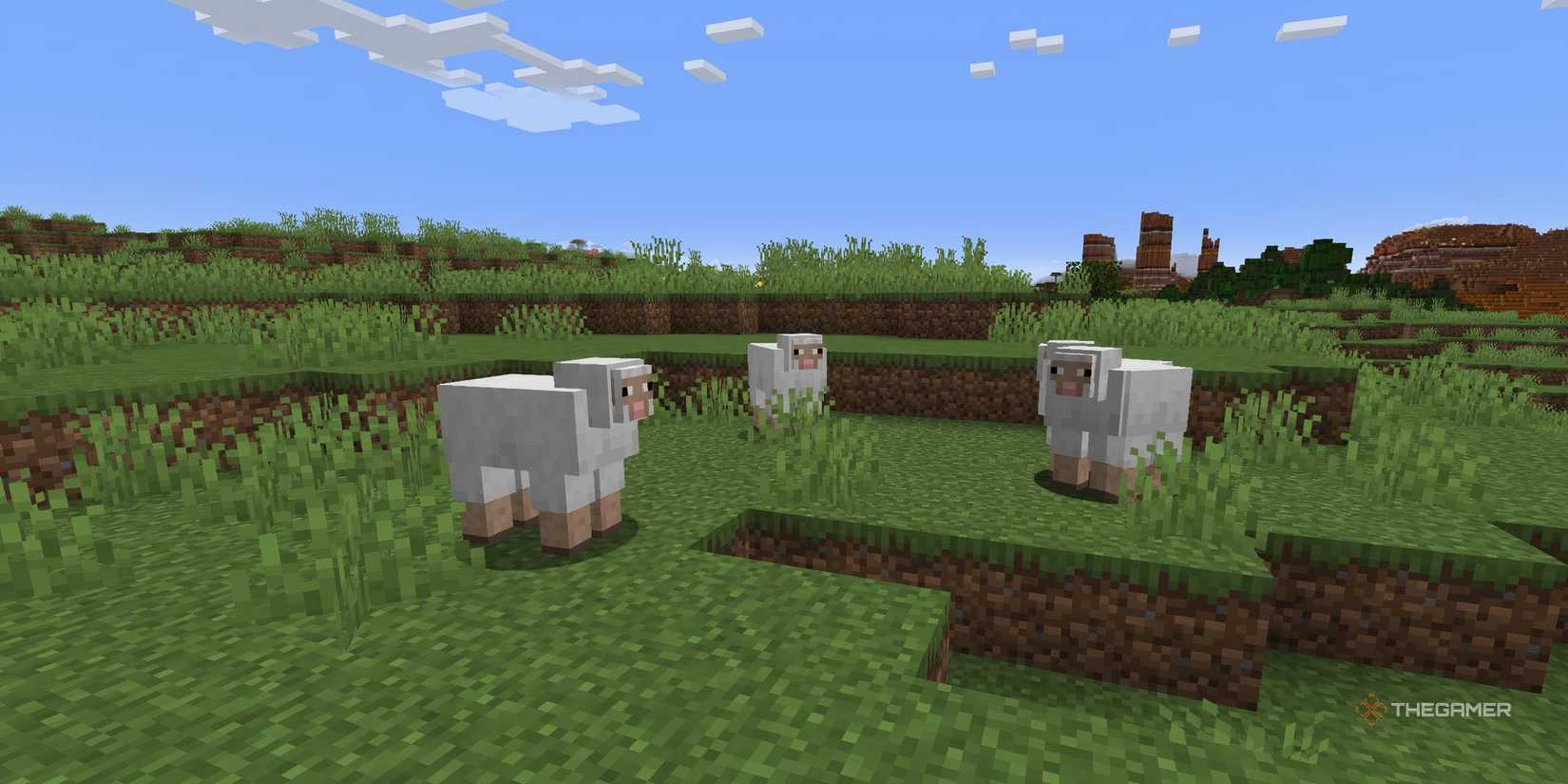 Minecraft Spring Sheep All New Features In Minecraft's Spring To Life Update