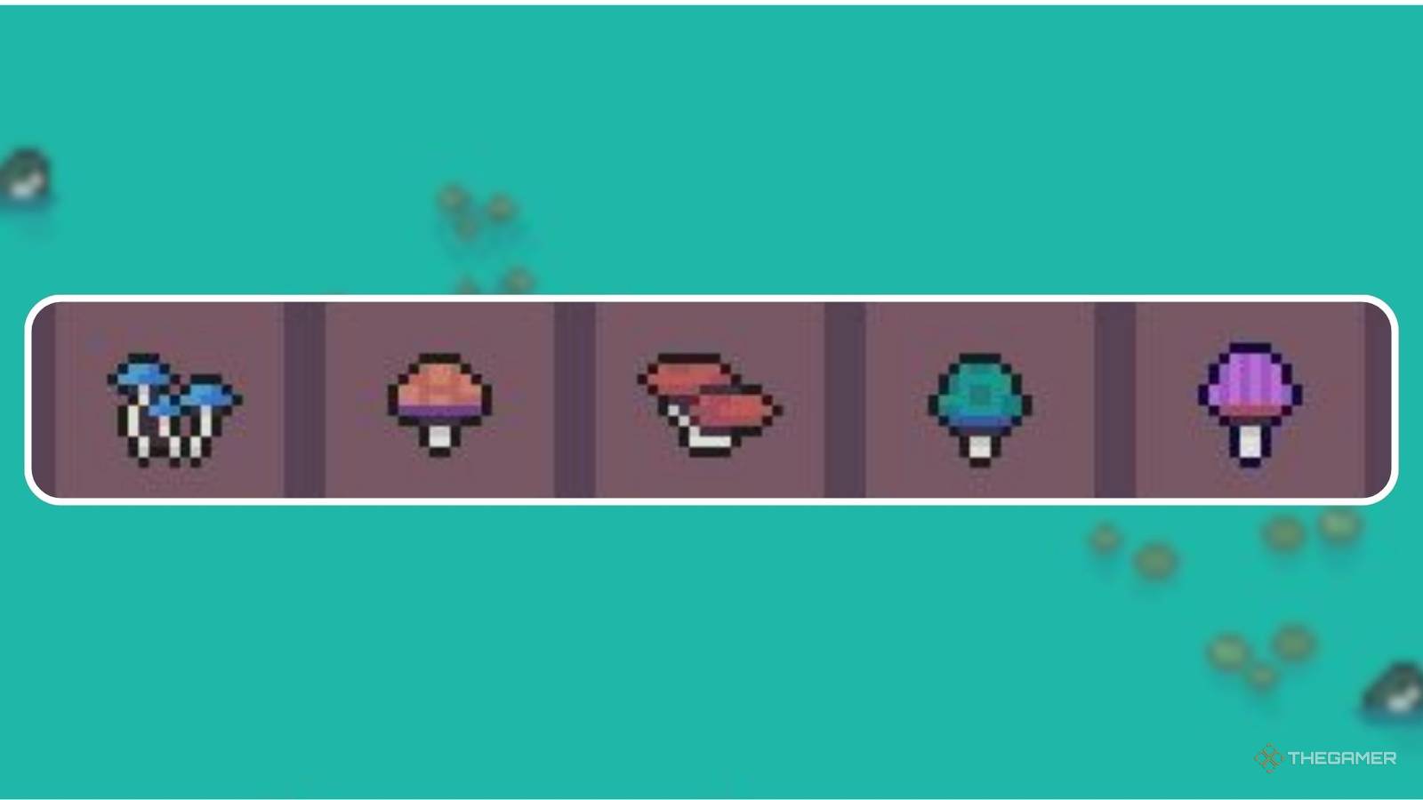 All Mushrooms And What They Do In Mudborne