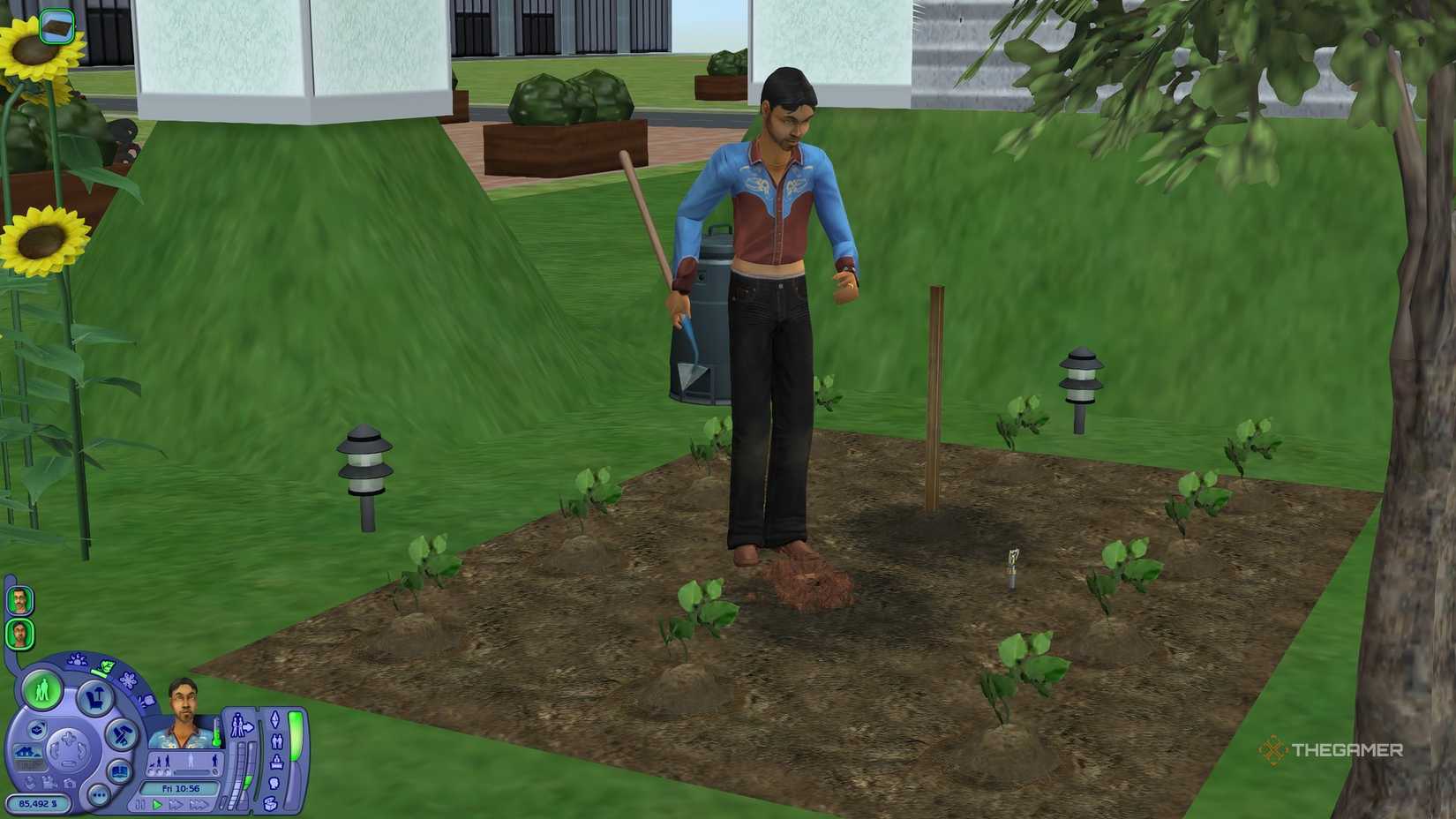 Corn Rows Sims 2 How To Maximise Gardening Skill In The Sims 2: Seasons