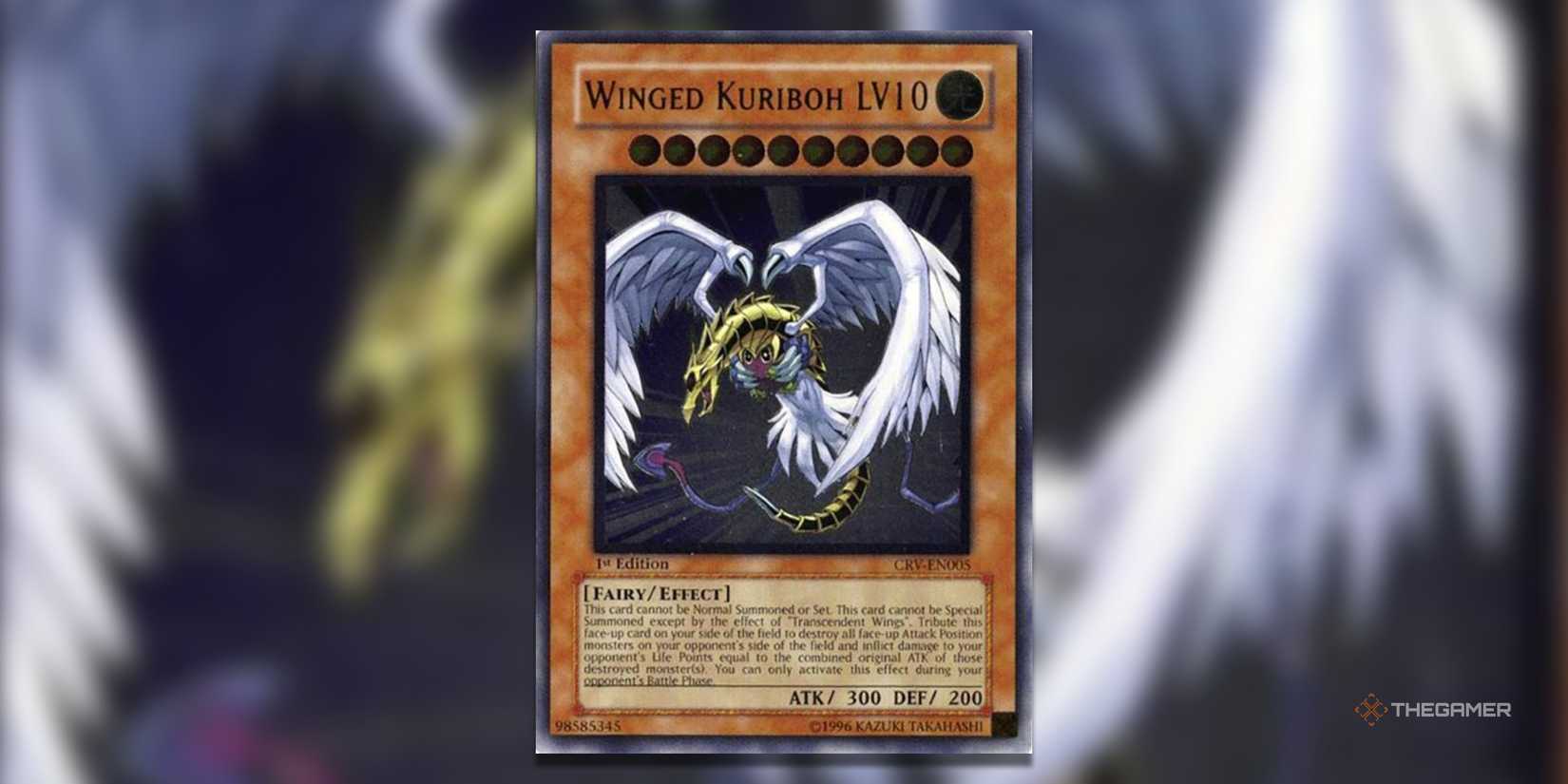 The Most Valuable Kuriboh Cards In YGO The Most Valuable Kuriboh Cards In YGO