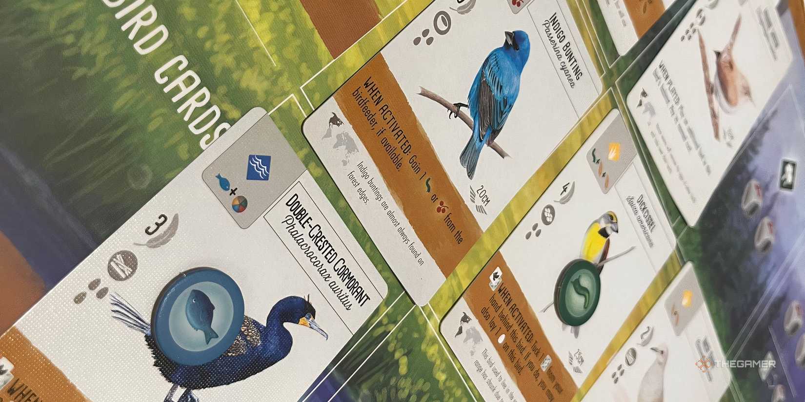 Cached food tokens lying on a new card of wing length. 