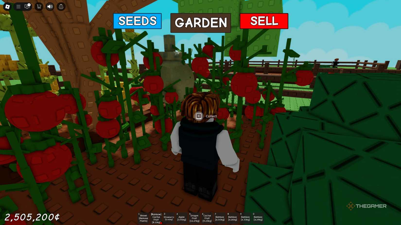 The player character shows his garden full of tomatoes and corn in Grow A Garden.