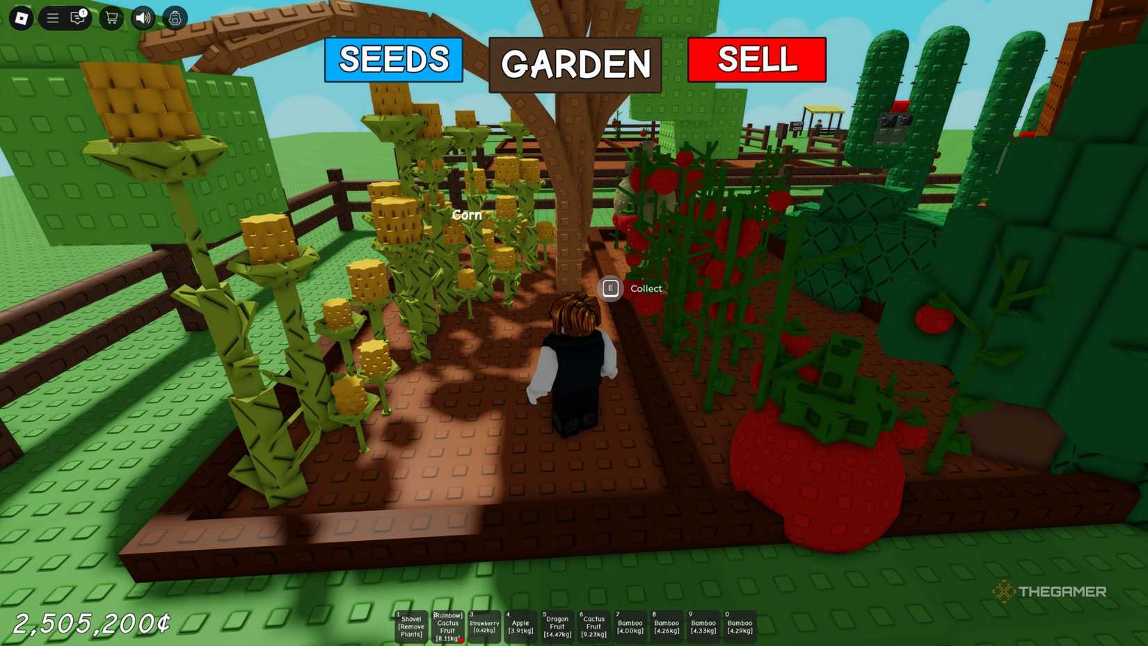 The player character shows his garden full of tomatoes and corn in Grow A Garden.