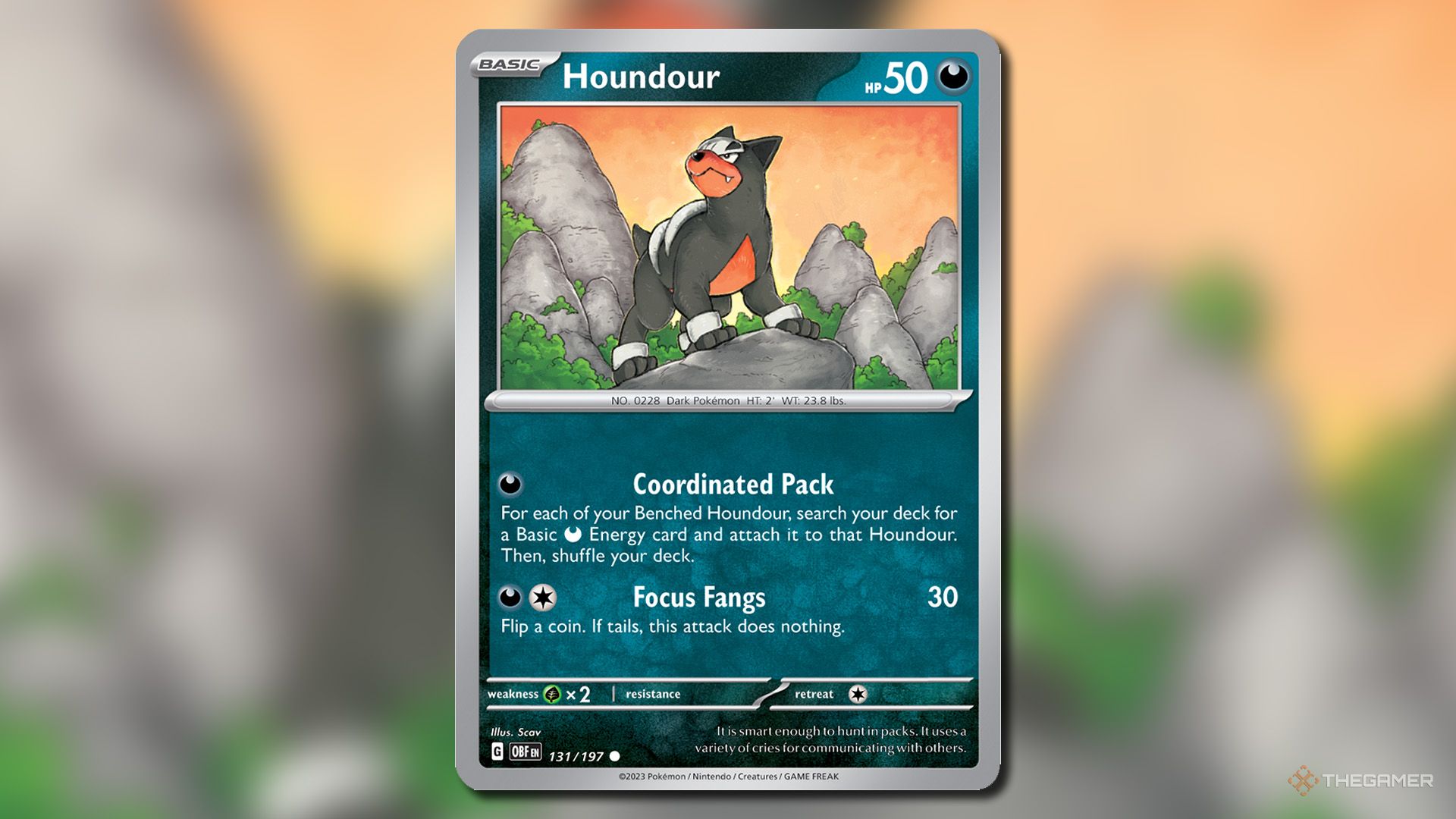The Best ex Battle Decks In Pokemon TCG