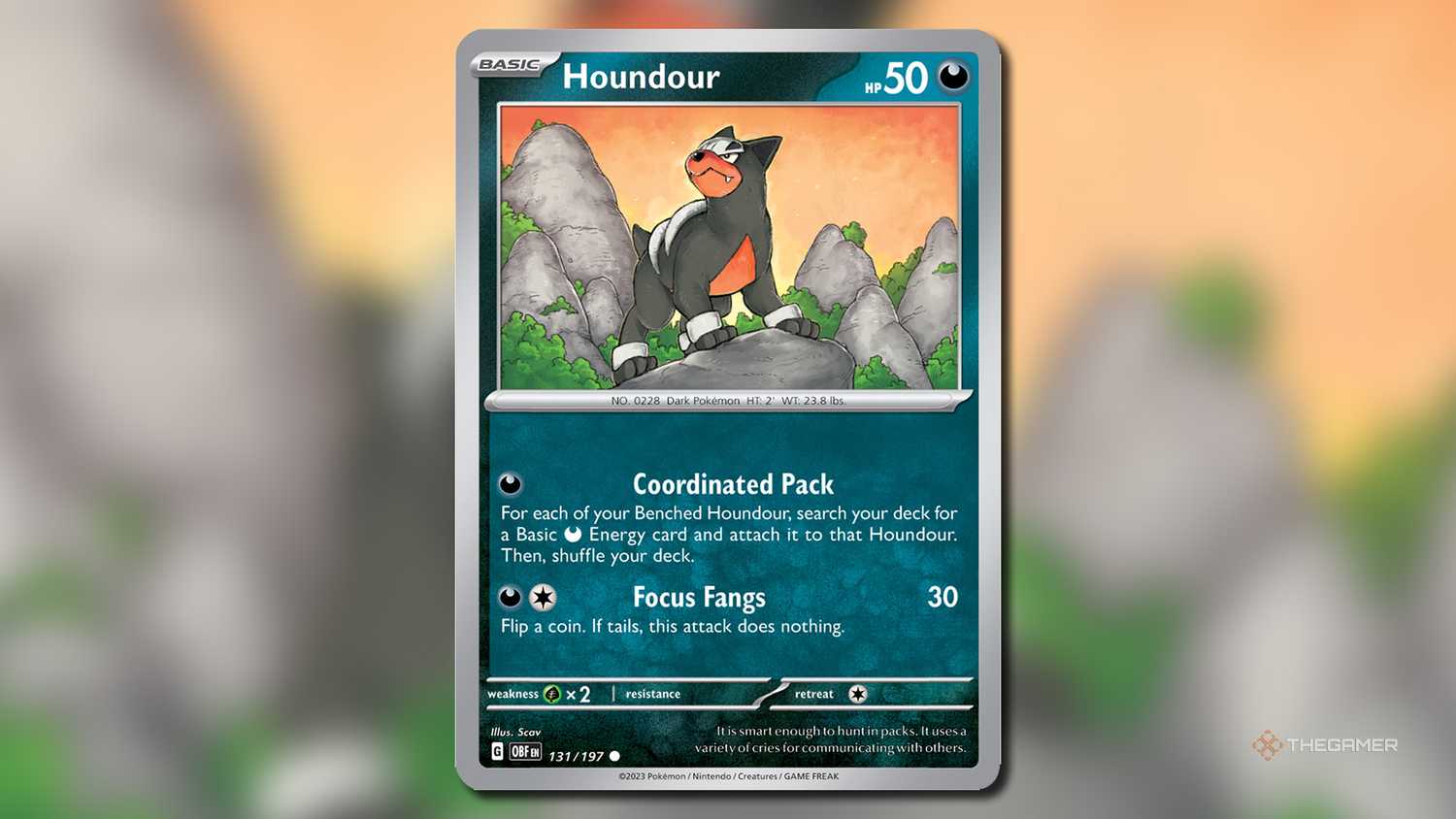 The Best ex Battle Decks In Pokemon TCG The Best ex Battle Decks In Pokemon TCG