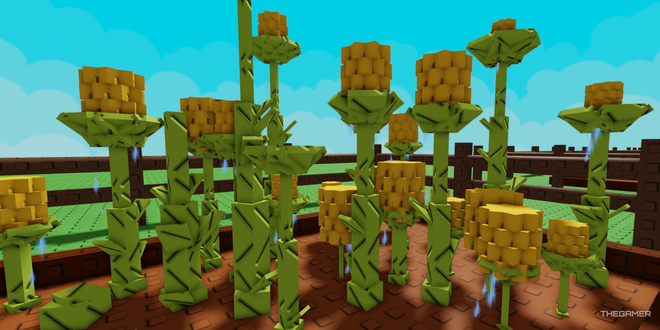 wet-corn-in-grow-a-garden-1.