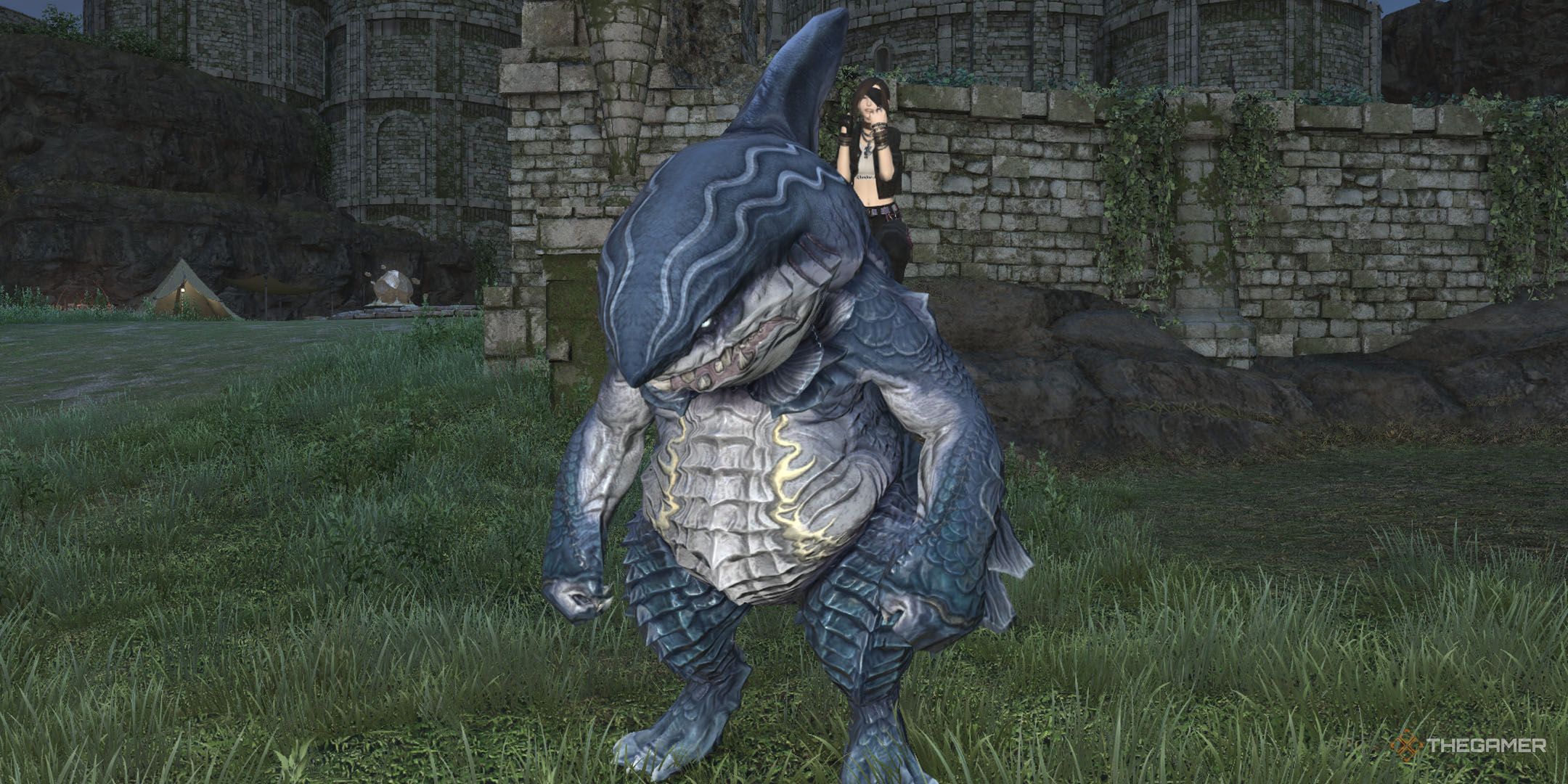 a-player-on-a-petalodus-mount-