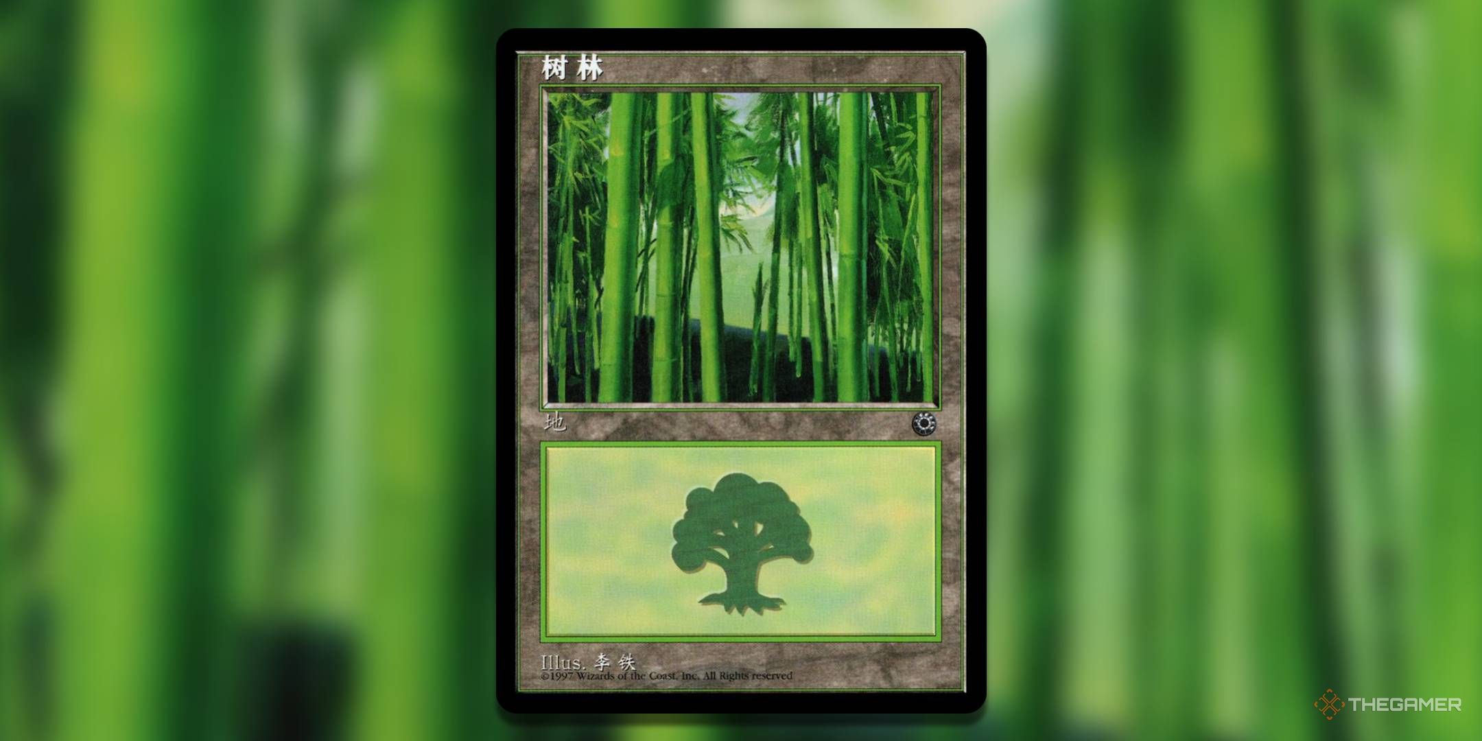 The 10 Most Valuable Basic Forests In MTG
