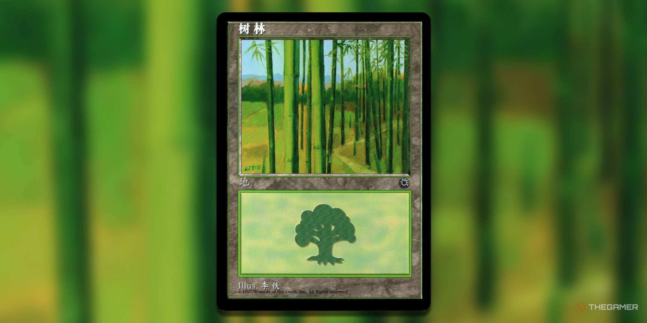 The 10 Most Valuable Basic Forests In MTG