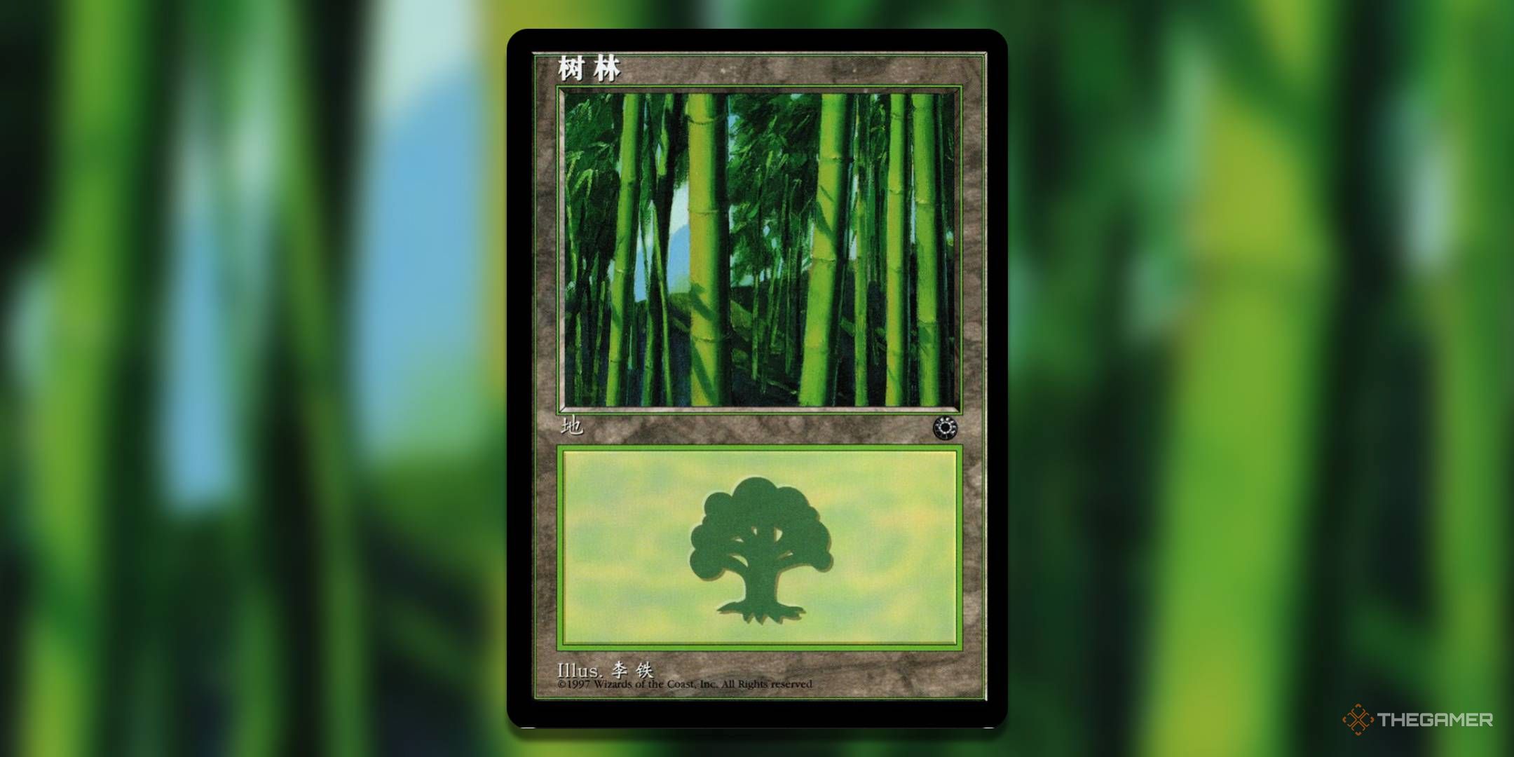 The 10 Most Valuable Basic Forests In MTG