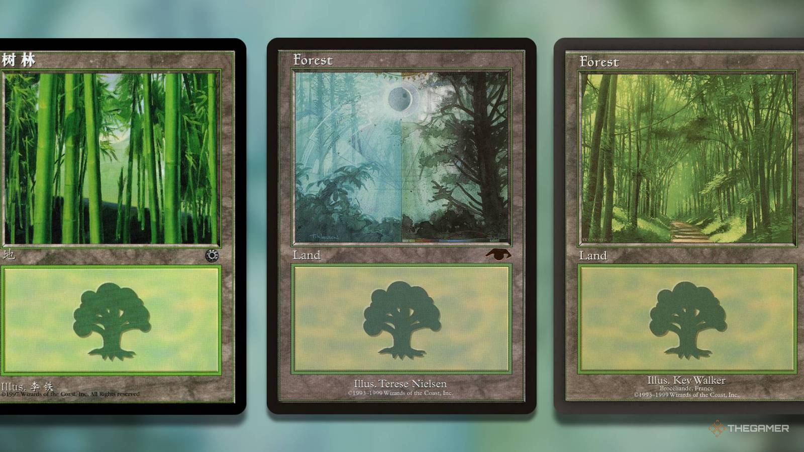 The 10 Most Valuable Basic Forests In MTG The 10 Most Valuable Basic Forests In MTG