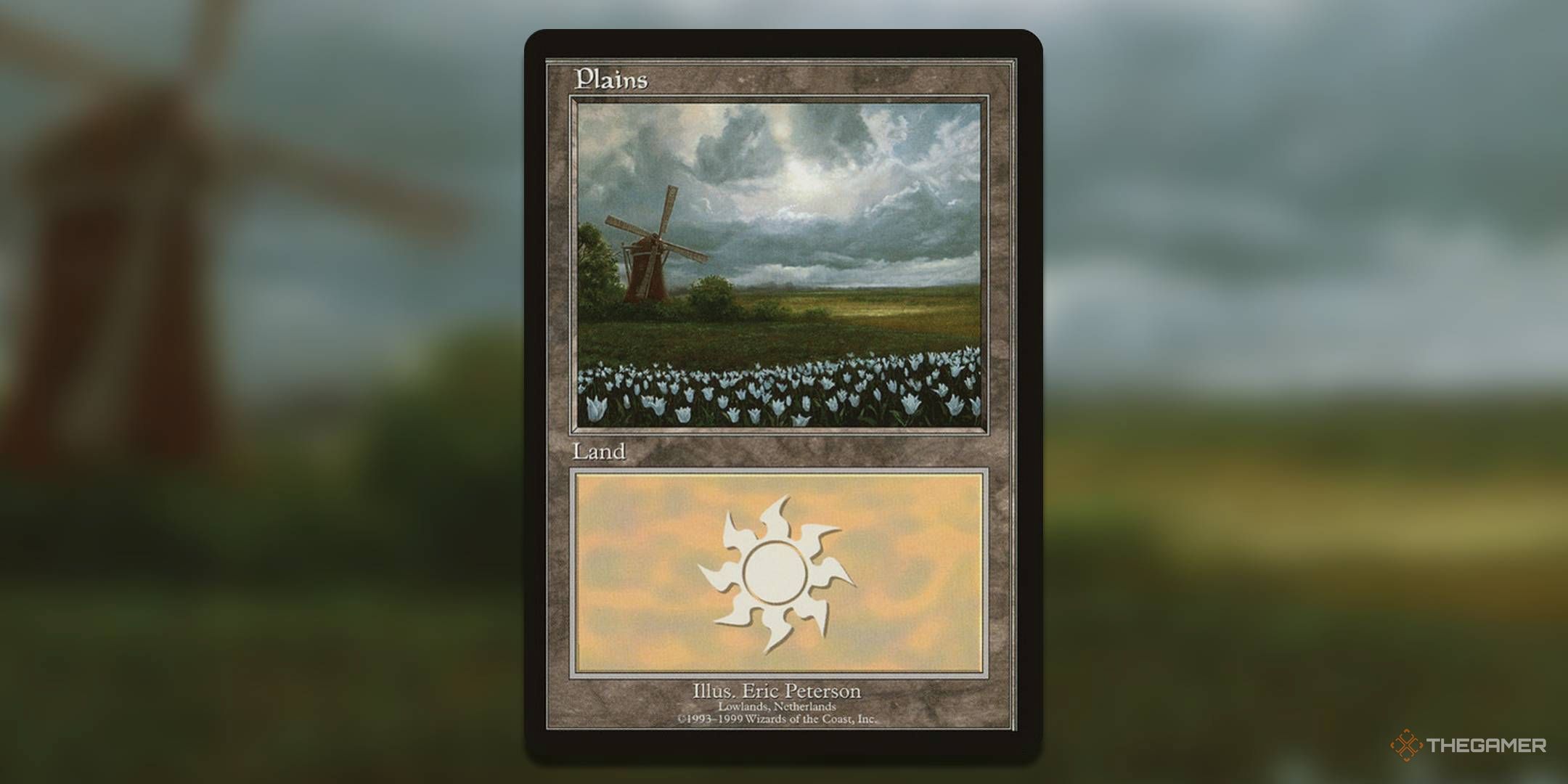 The Most Valuable Basic Plains In MTG