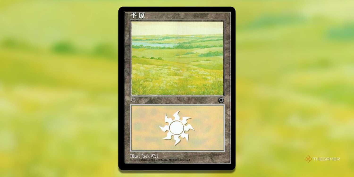 The Most Valuable Basic Plains In MTG The Most Valuable Basic Plains In MTG