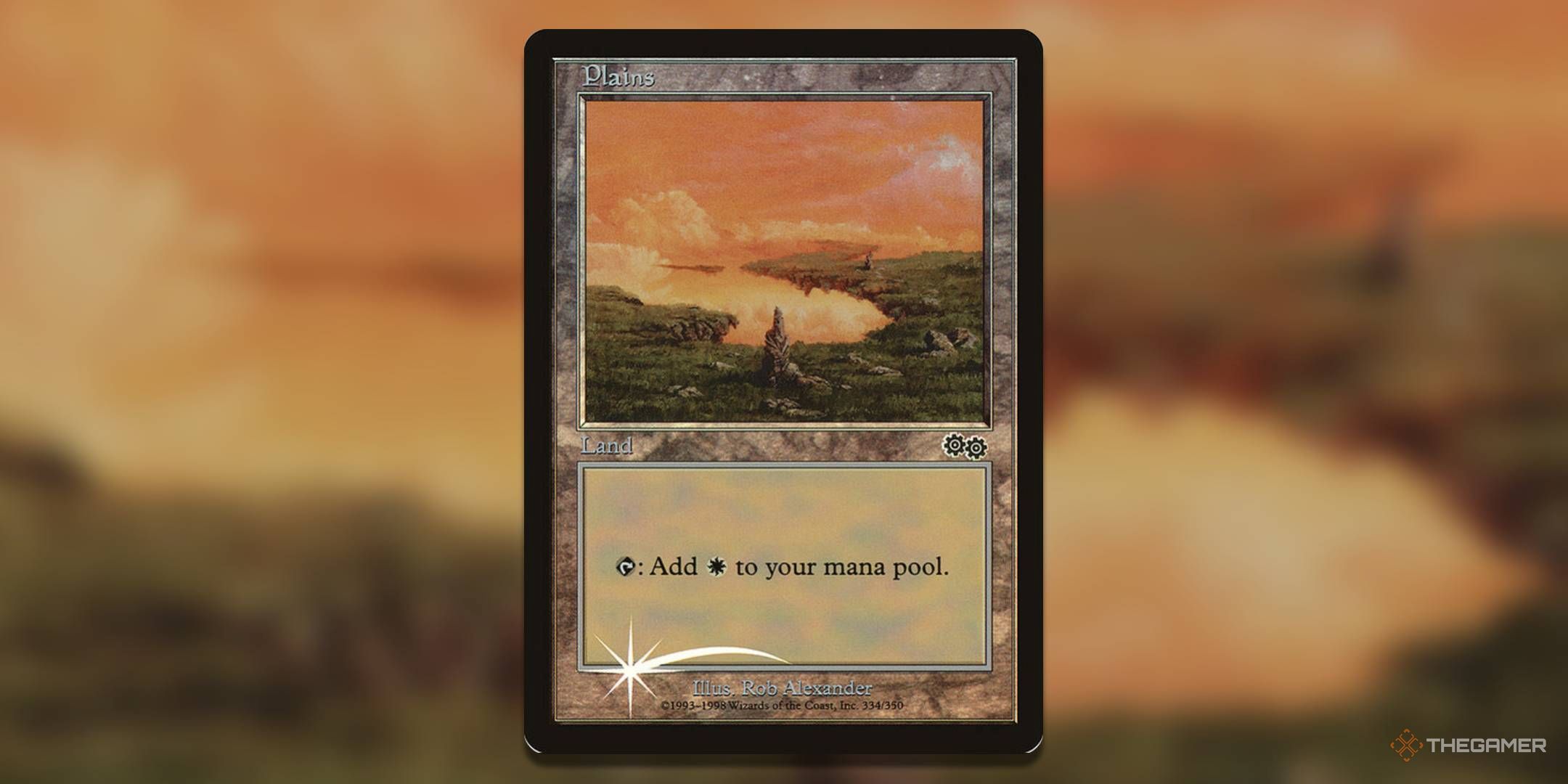 The Most Valuable Basic Plains In MTG