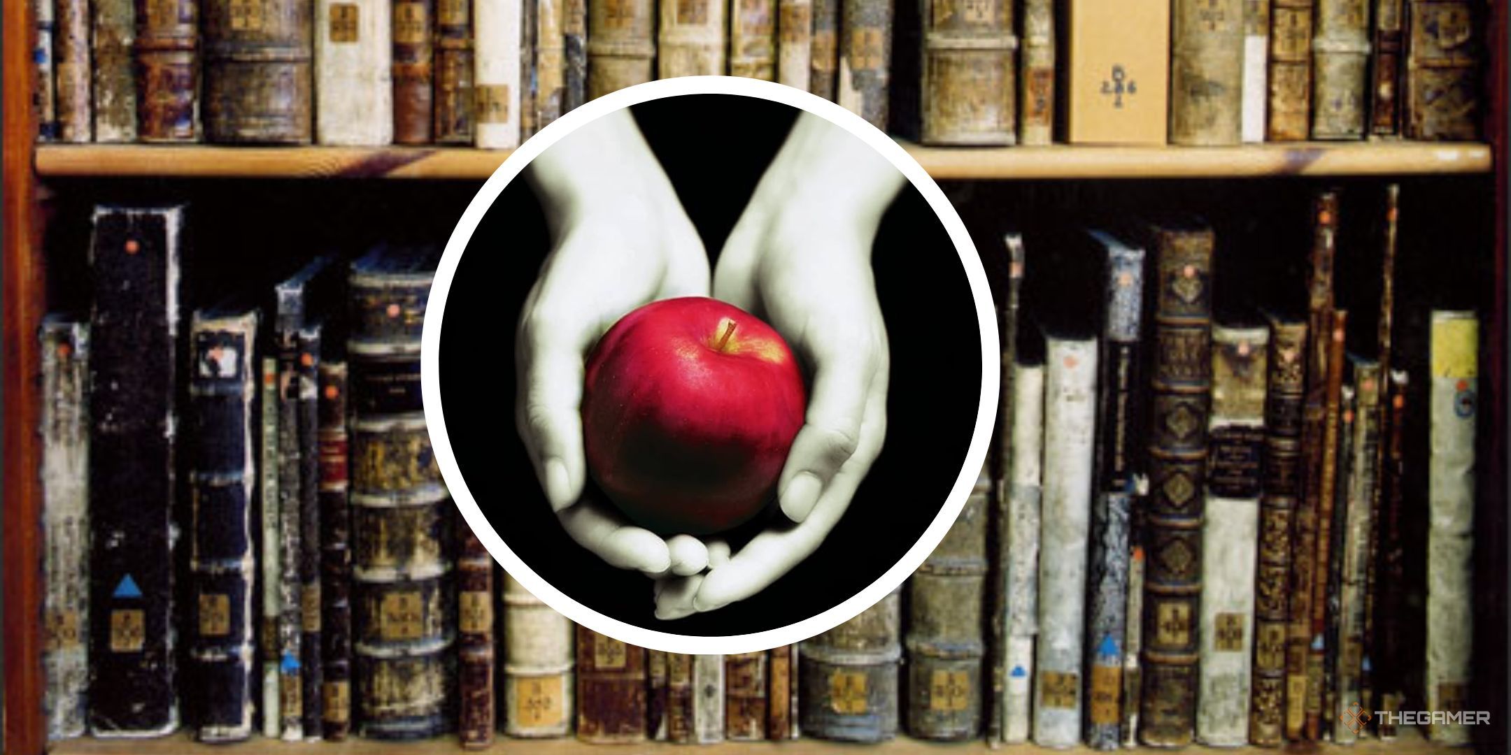 Twilight book in front of a shelf full of books. 