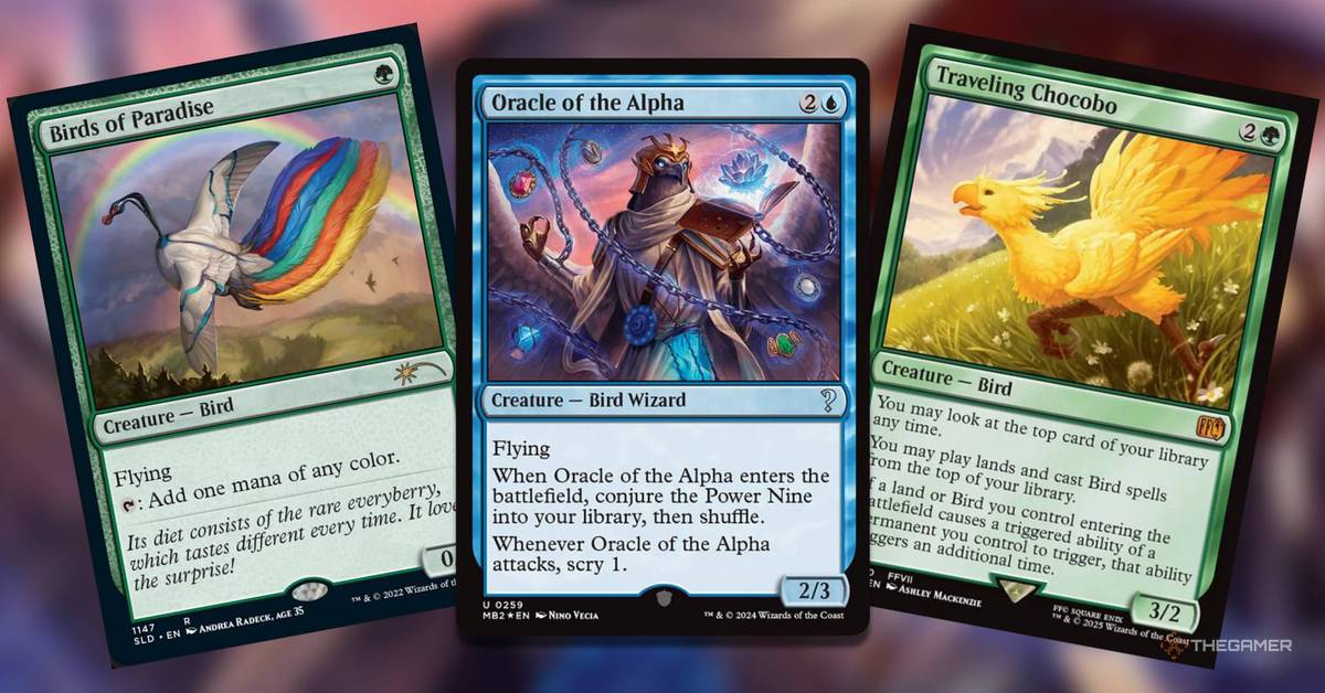 The Most Valuable Bird Cards In MTG