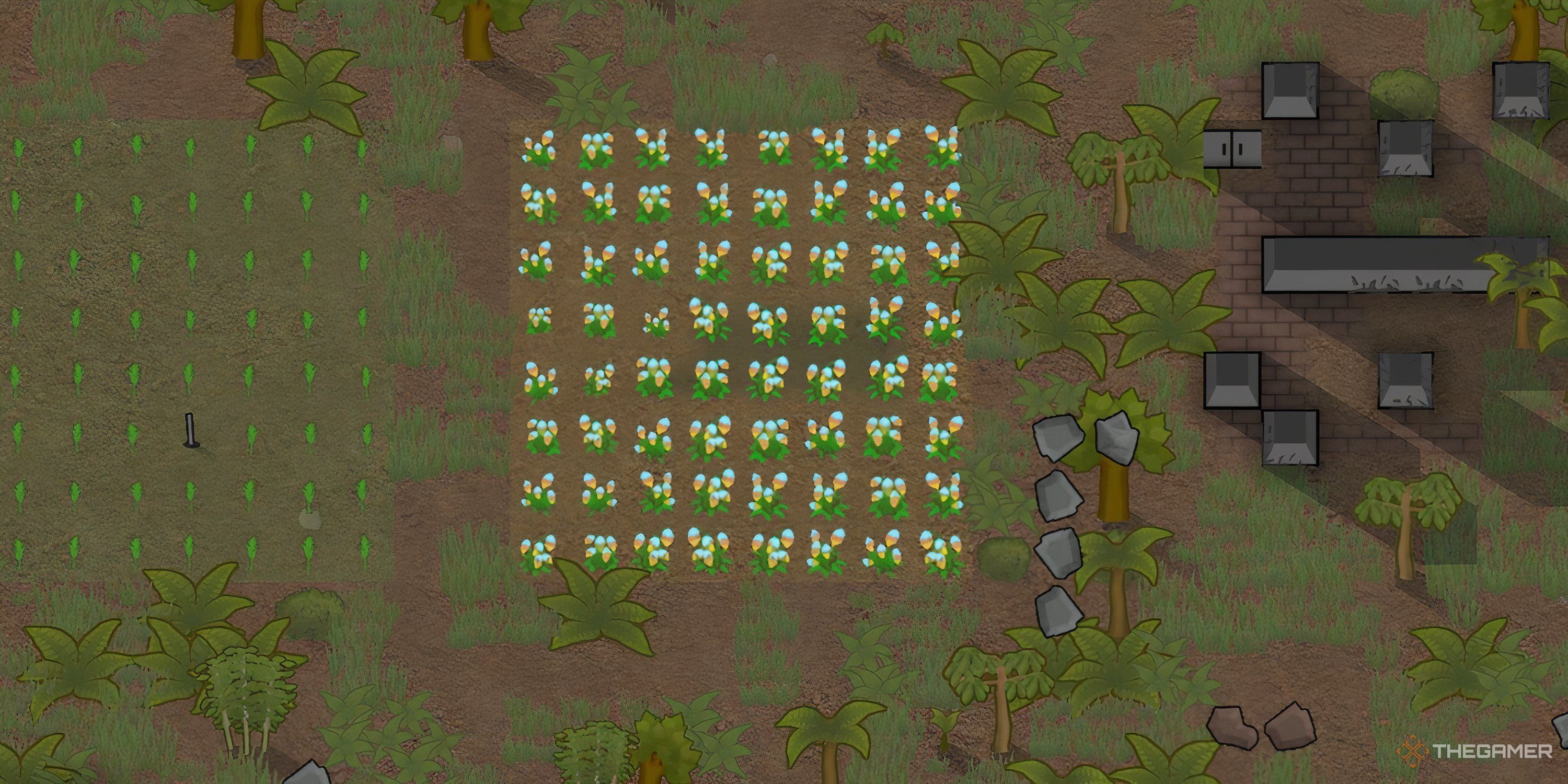 How To Grow Cloth In Rimworld