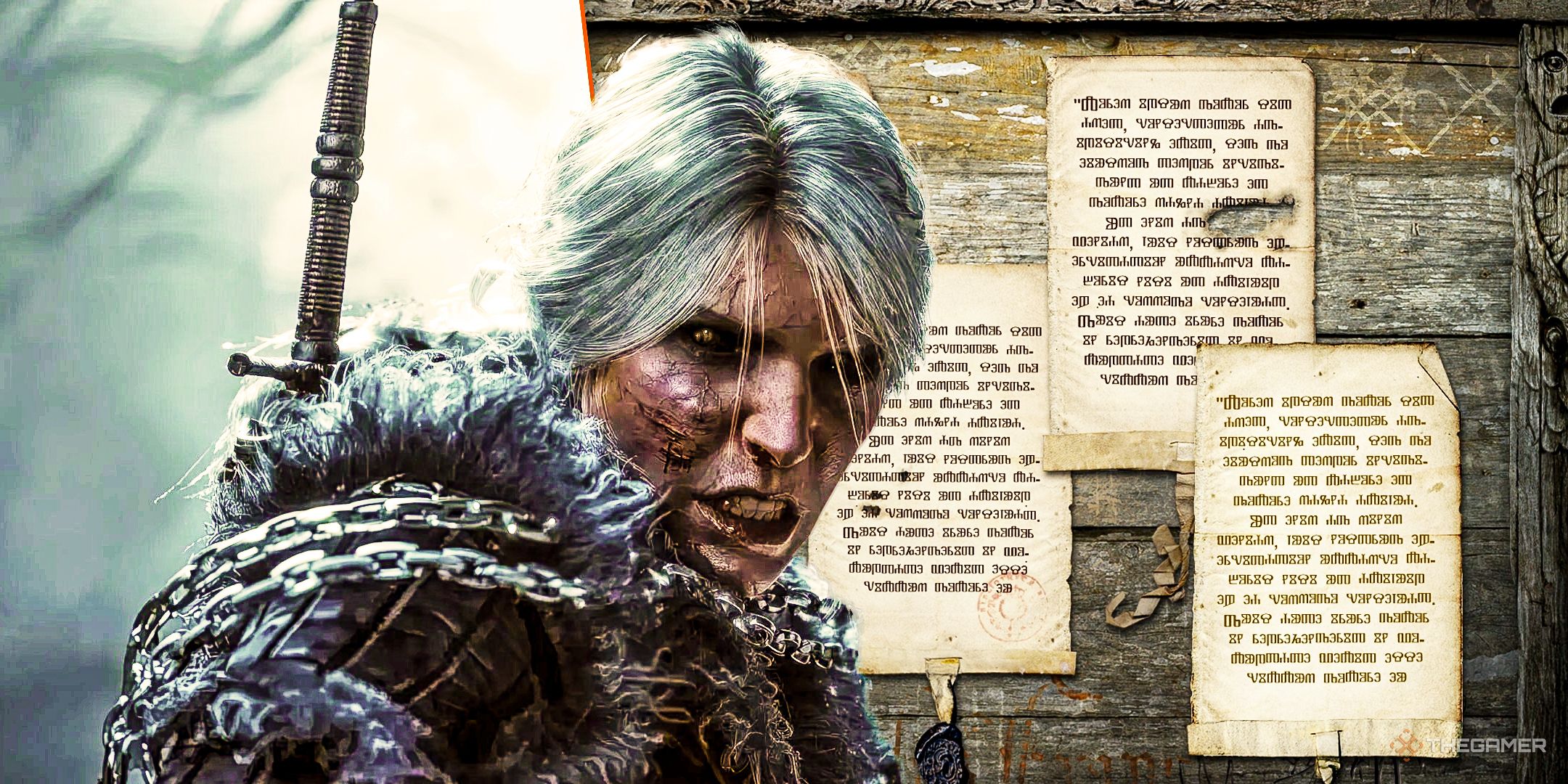 Ciri in front of a The Witcher 3 job board.