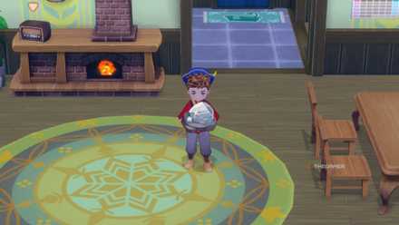 Samir Cat Where To Find Samir's Cat In Story Of Seasons: Grand Bazaar