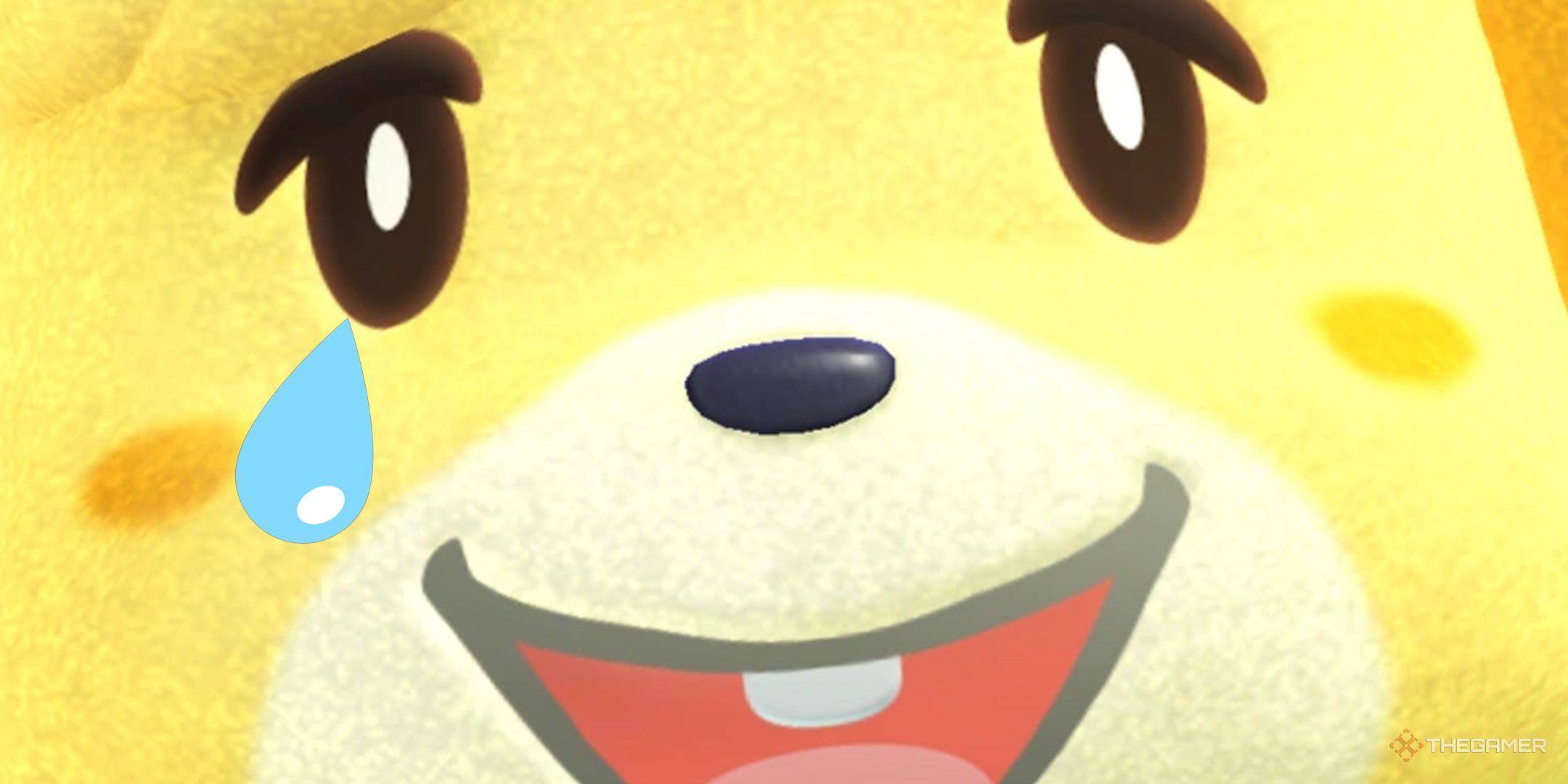 TG Isabelle close up with a tear.