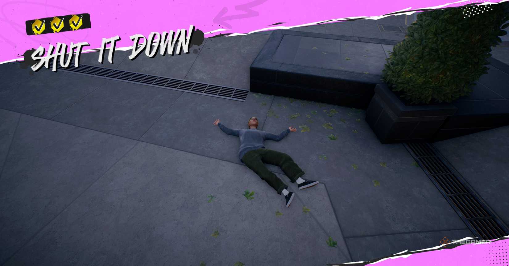 Character of Skate 4 on Earth.