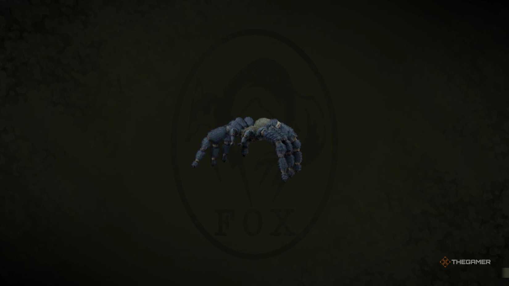 Tarantula in a metal gearbox solid delta snake fir.