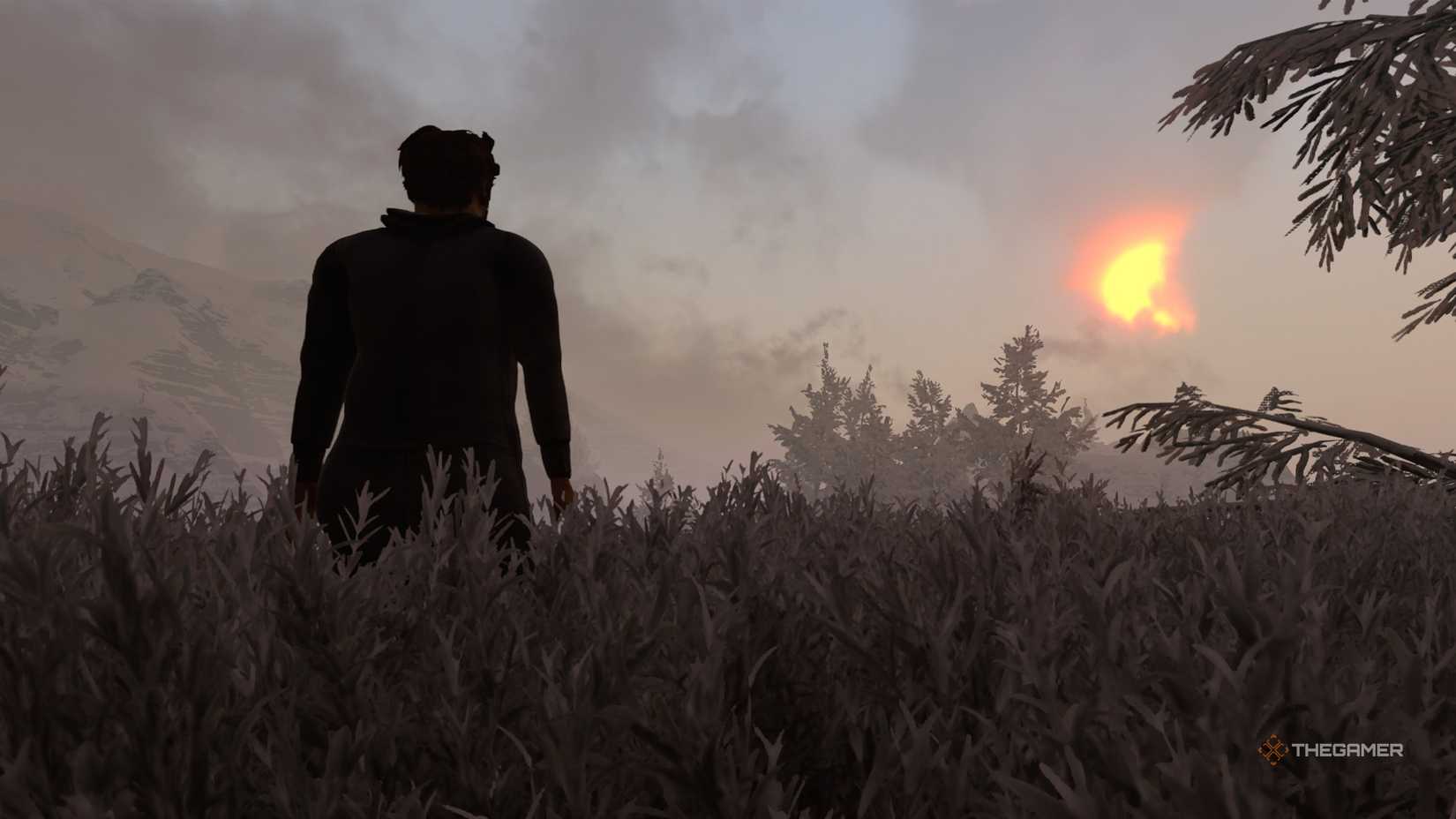 Baby Steps Nate stood in tall grass looking at a sunrise.