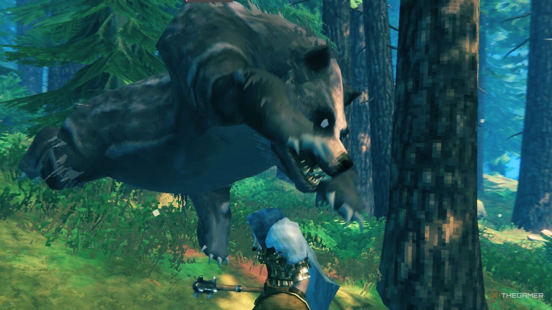 How To Find And Defeat Bears In Valheim