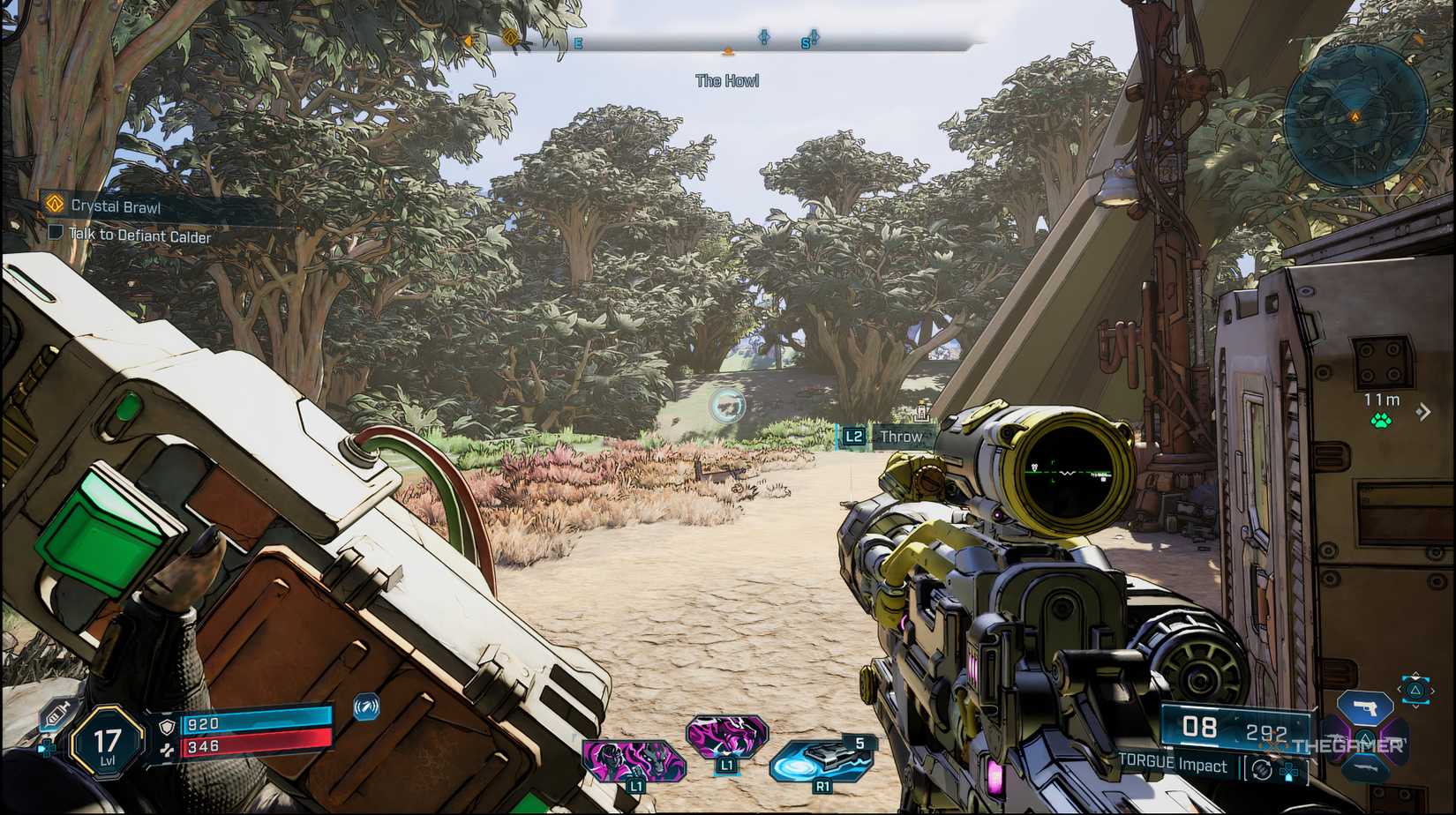 The player who lost the capsule is trying to throw it into Borderlands 4.