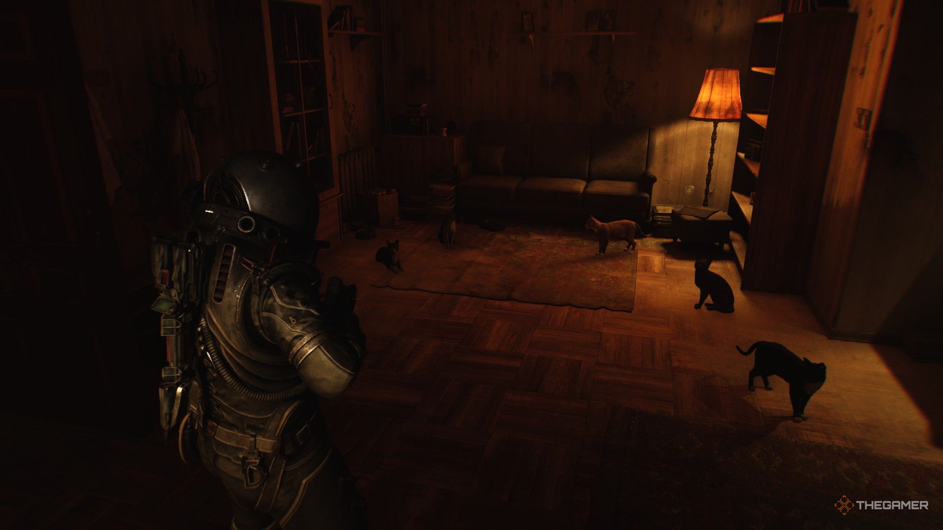 Where To Find And Pet All Cats In Cronos: The New Dawn