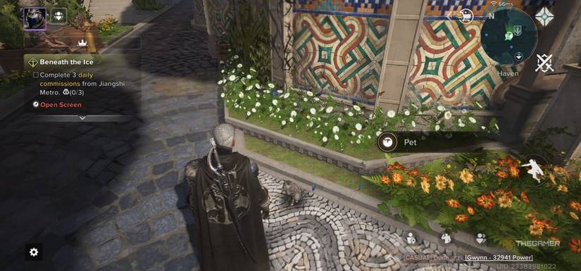 The athlete tries to make a cat a pet in destiny: rise.