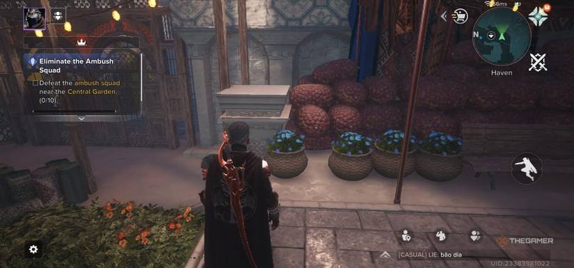 Player looking at the cushion in blue flowers and fate: rise.