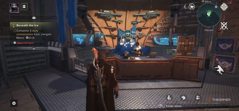 The player is looking at the cat next to Bazinet of Destiny: Rising.