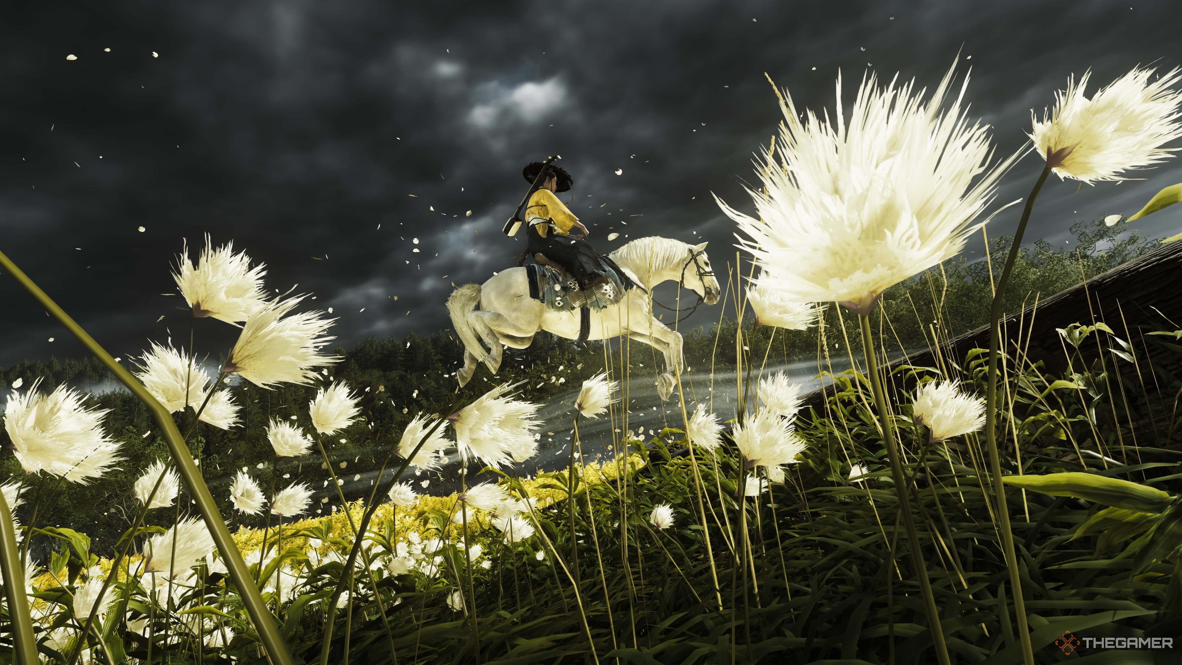 Things We Wish We Knew Before We Started Atsu's Quest In Ghost Of Yotei