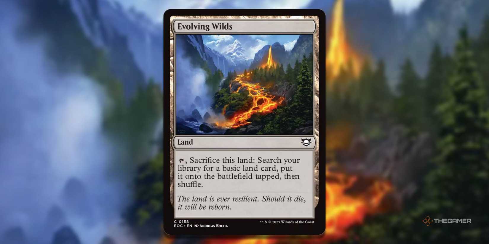 MTG Evolving Wilds Card with the art in the background.