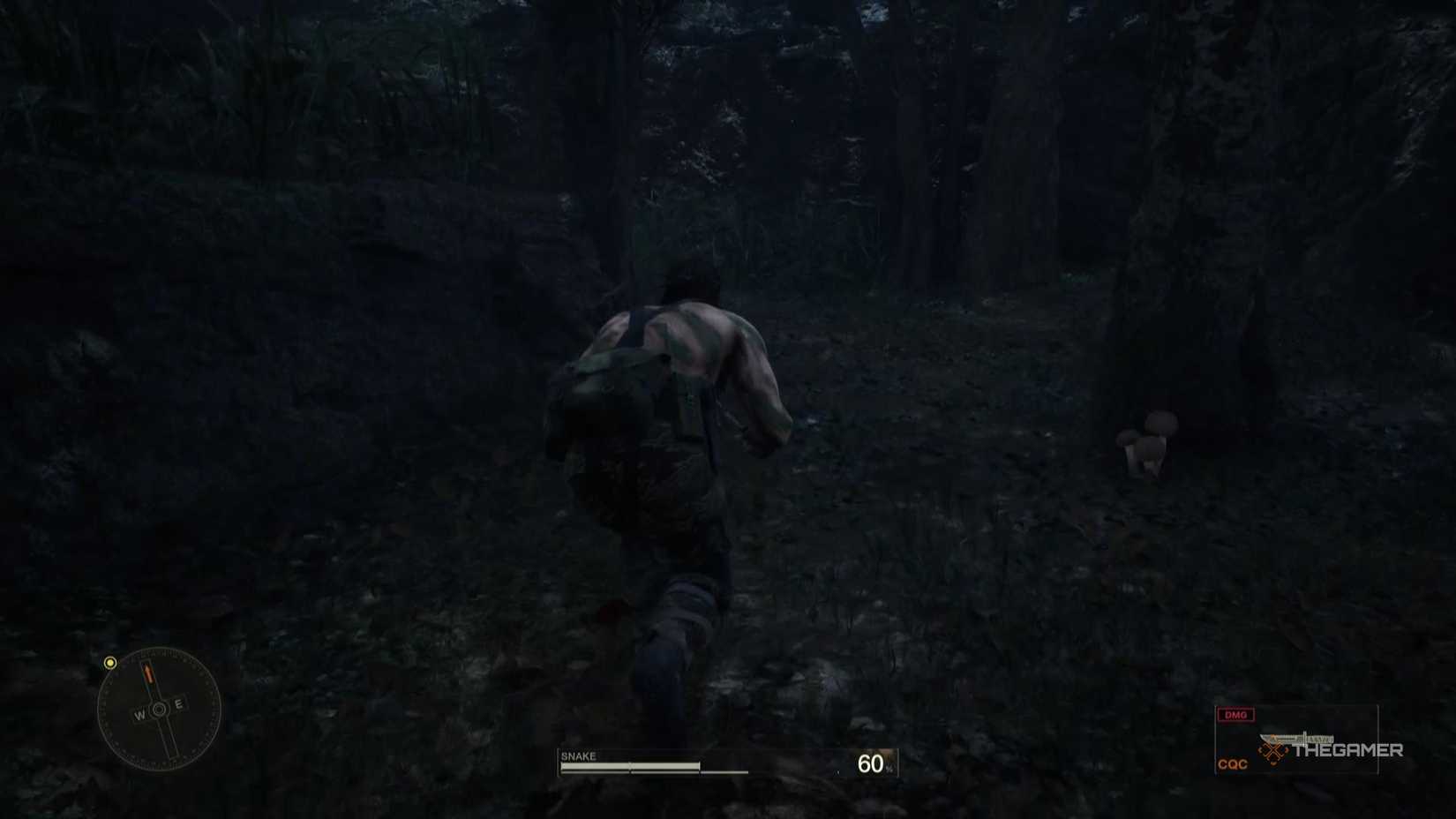 Mushrooms growing next to a tree in a metal gearbox solid delta snake fir.