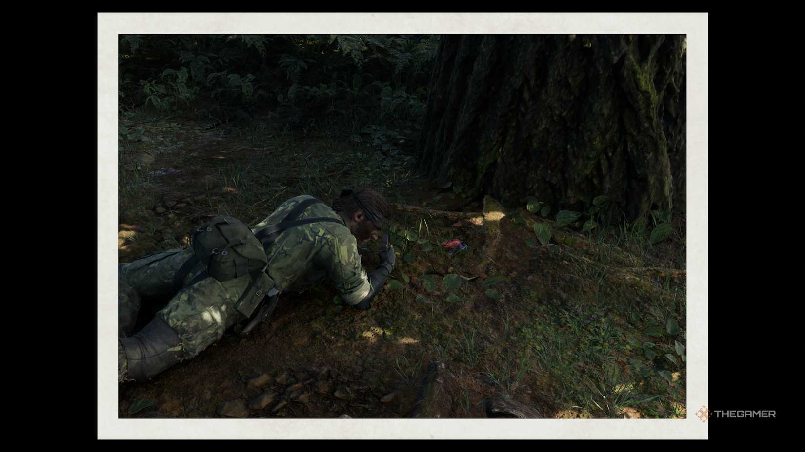 The snake lay with a frog with a frame around them in a metal gear solid Delta: snake eater.